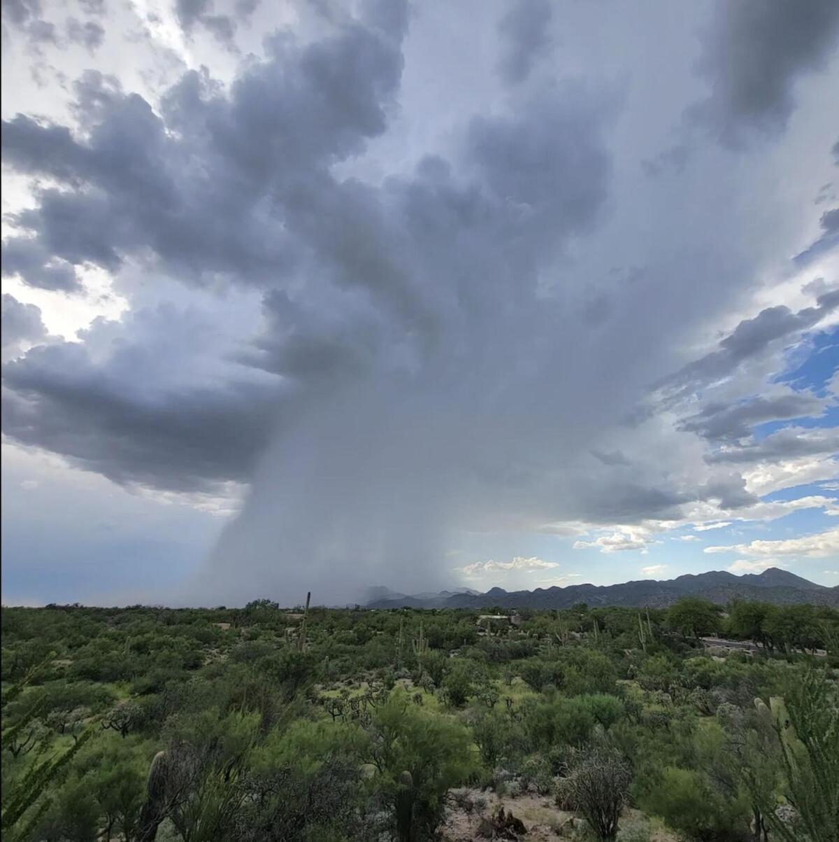 Luxury 3Bd 2Ba Home Near Tucson With Desert Views - Low Summer Rates! Oro Valley Exterior foto